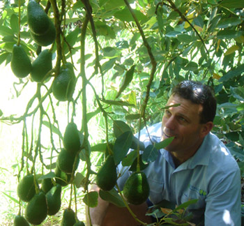 Agronomist survey